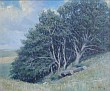Hugo Larsen: Open Landscape with felled Trees, 1908.