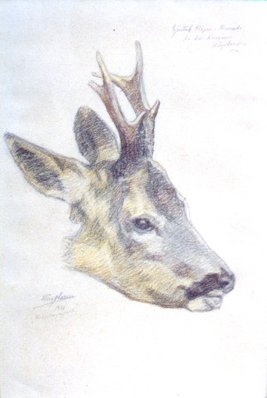 Hugo Larsen: Hjortehoved, 1941