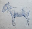 Hugo Larsen: Paksel.