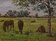 Heste og køer i Ryvangen, 1926