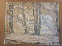 Skovparti fra Sorgenfri, 1901