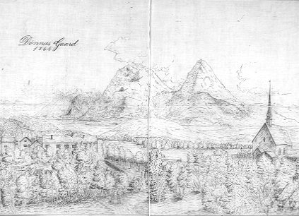 Tegning af D�nn�s udf�rt af J.M. Coldevin efter et maleri fra 1864